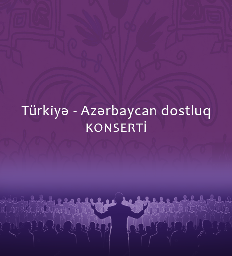 Türkiyə - Azərbaycan dostluq konserti